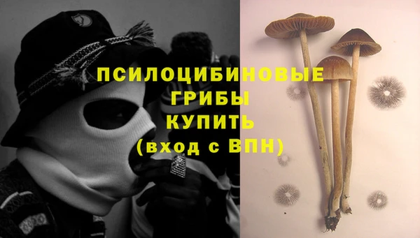ГАЛЛЮЦИНОГЕННЫЕ ГРИБЫ Аркадак