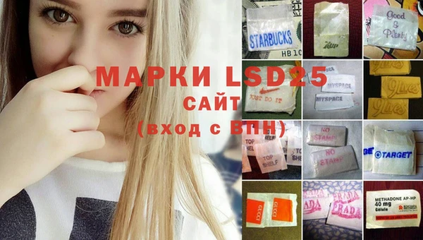 ГАЛЛЮЦИНОГЕННЫЕ ГРИБЫ Аркадак