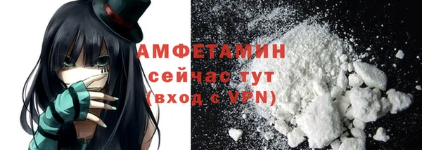 ГАЛЛЮЦИНОГЕННЫЕ ГРИБЫ Аркадак